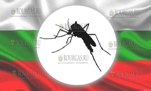 Тигровые комары в Болгарии