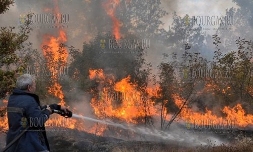 Пожарные в Болгарии спасли более 200 акров лиственного леса