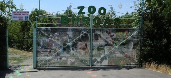 В зоопарке Бургаса пополнение