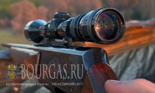 Браконьеры в Болгарии начали охоту на ежей