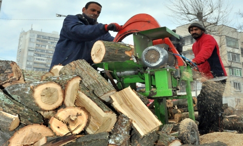 В Малко Тырново идет заготовка дров