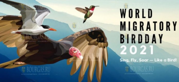 В Болгарии отмечается Всемирный день перелетных птиц