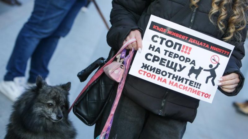 Протесты в нескольких города против насилия над животными